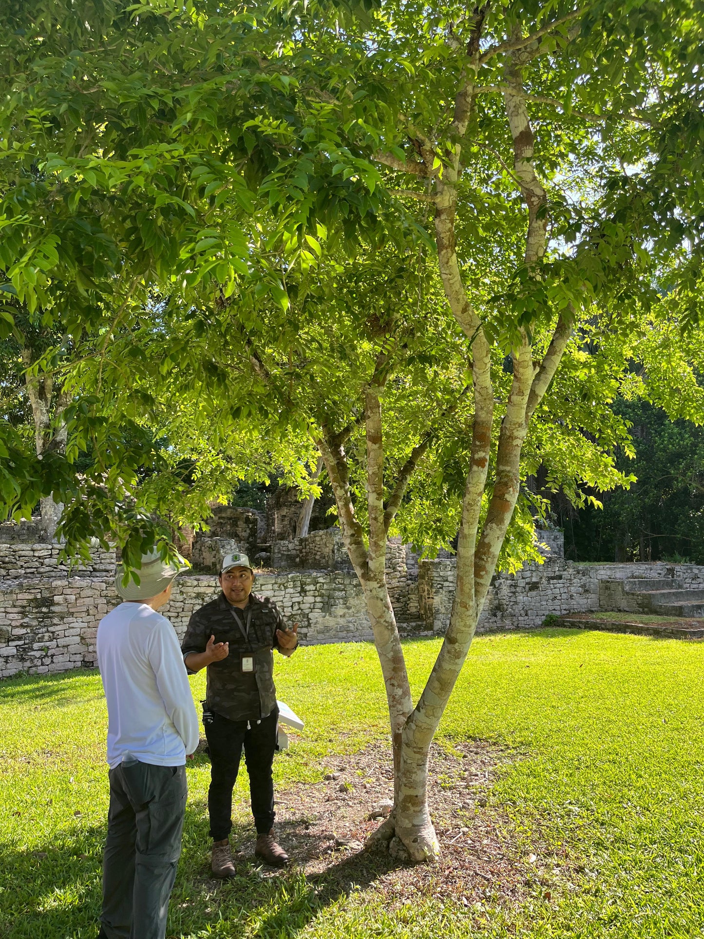 Tour a las Ciudades Mayas desde Bacalar y Chetumal