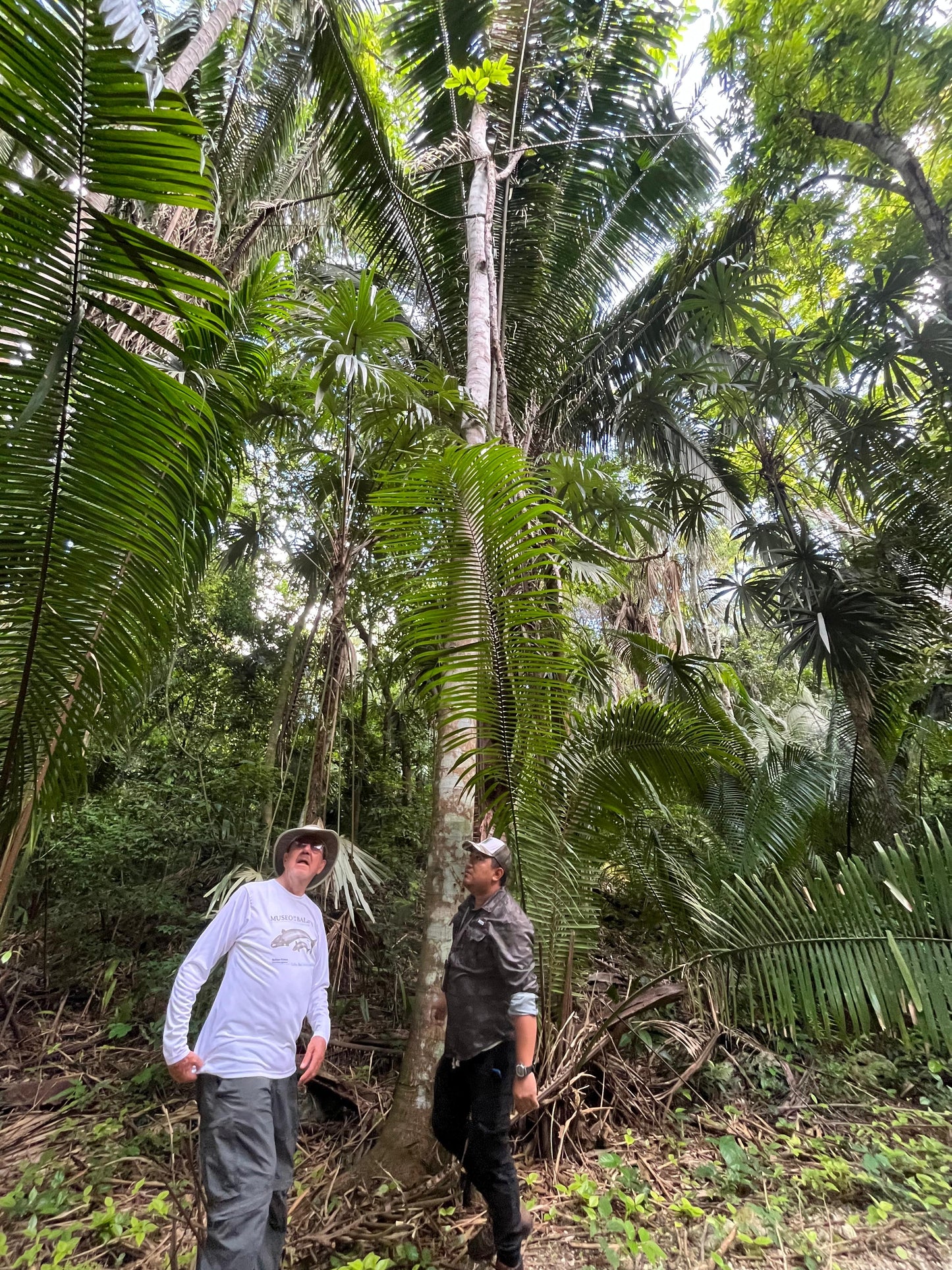 Tour a las Ciudades Mayas desde Bacalar y Chetumal