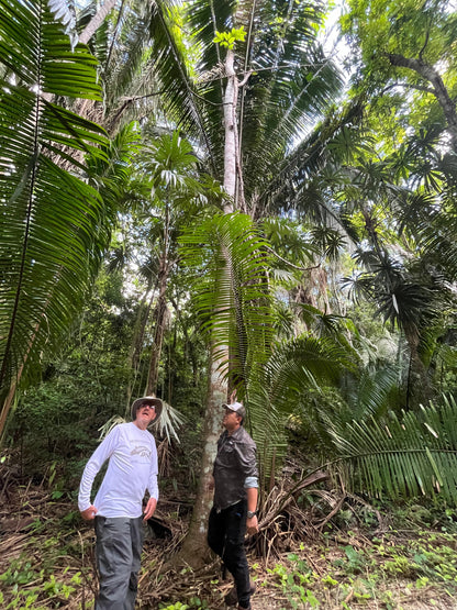 Tour a las Ciudades Mayas desde Bacalar y Chetumal