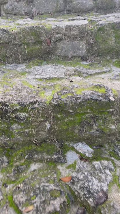 Ruinas Mayas y Villa Caribeña con Esnorkeling
